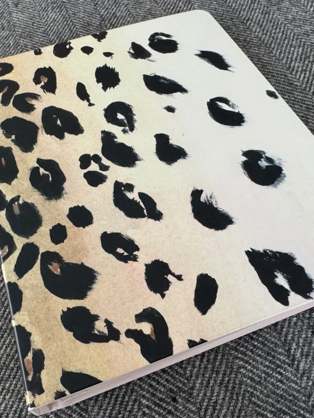 kate spade nwot kate